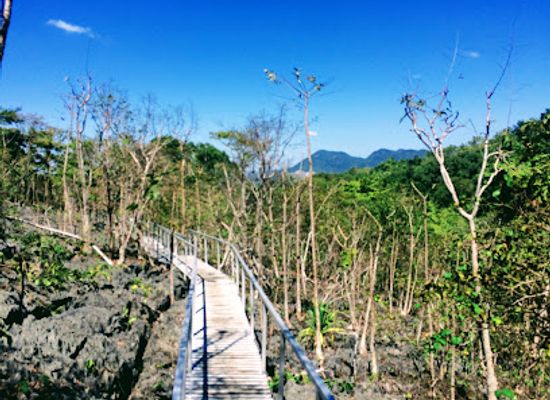 thailand/phetchabun-mountains/shop/phu-khao-hin-pakarang-coral-mountain