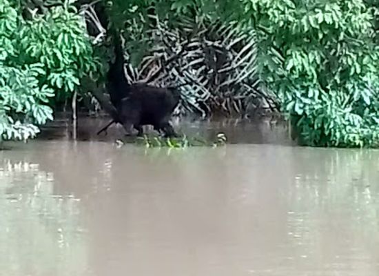 the-gambia/lower-saloum/shop/kuntaur-the-gambia