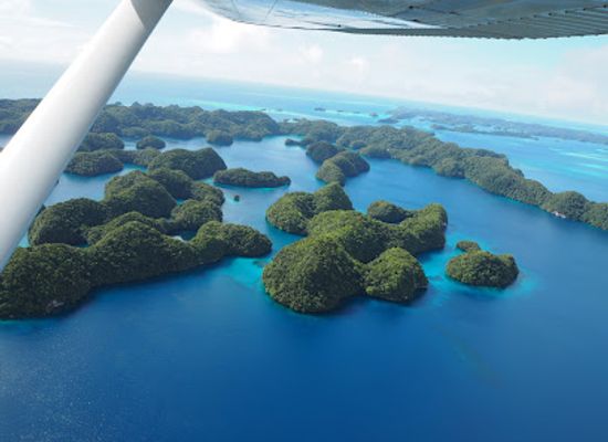 palau/southern-lagoon/shop/chelbacheb