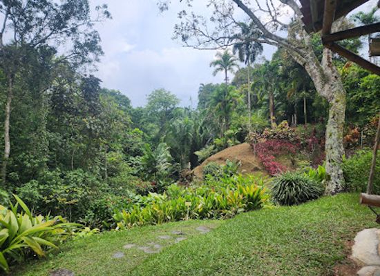 colombia/tolima-department/shop/san-jorge-botanical-garden