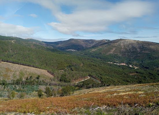 portugal/serra-da-lousa/shop/serra-da-lousa