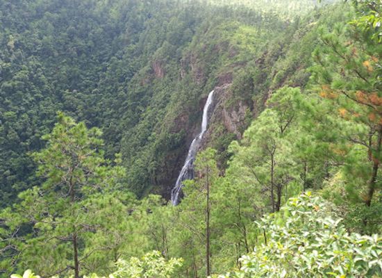 belize/mountain-pine-ridge/shop/1000-foot-falls