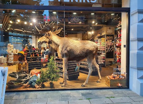 norway/hedmark/shop/waynor
