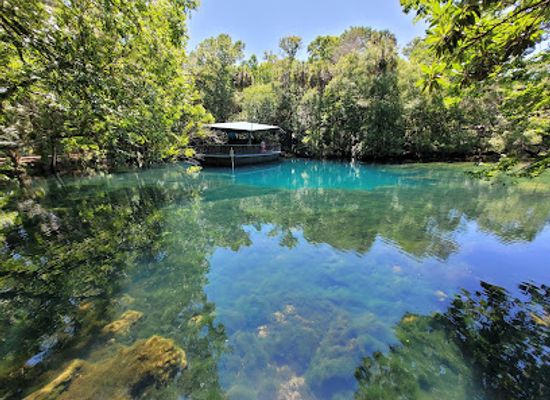 florida/homosassa-springs-wildlife-state-park/shop/ellie-schiller-homosassa-springs-wildlife-state-park
