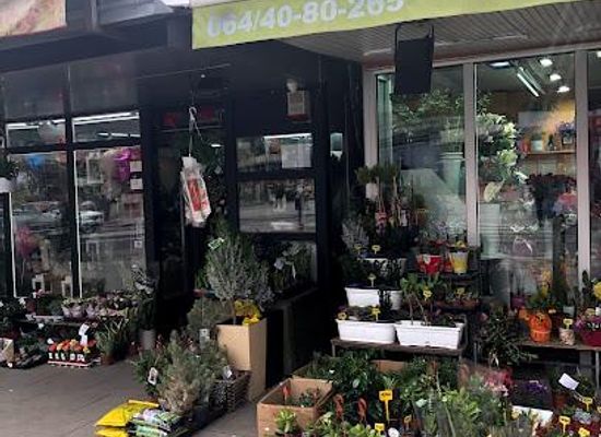 serbia/srem/shop/bajloni-market-belgrade