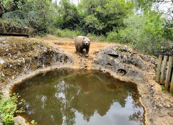 portugal/ribatejo/shop/sensory-ecopark-of-pia-do-urso