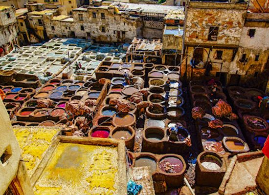 morocco/sais/shop/moroccan-tannery