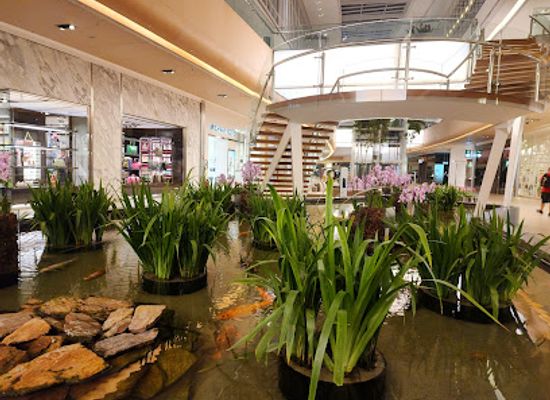 brazil/serra-do-mar/shop/villagemall