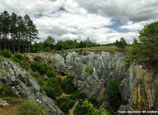belgium/entre-sambre-et-meuse/shop/entre-sambre-et-meuse-national-park