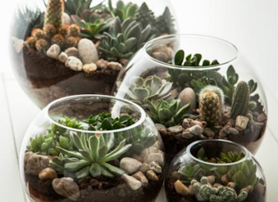 colombia/andean-region/shop/sabiduria-ambiental