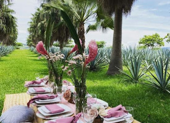 mexico/tequila-valley/shop/casa-morin-tequila