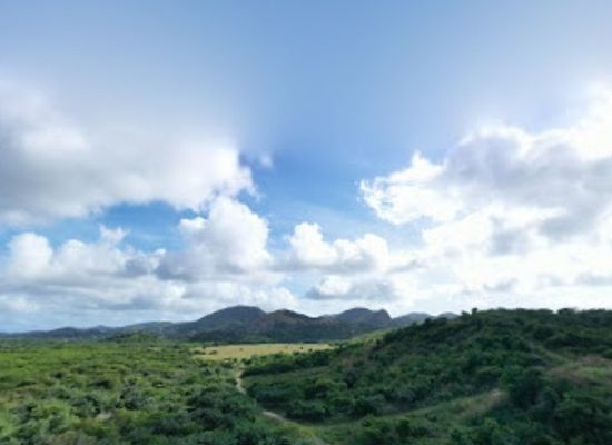 antigua-and-barbuda/bolands/shop/de-spott-variety-exchange