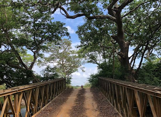 sri-lanka/wilpattu-national-park/shop/road-from-wilpattu-national-wildlife-park