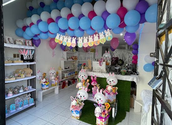 chile/la-serena/shop/sanofood-mayzshop