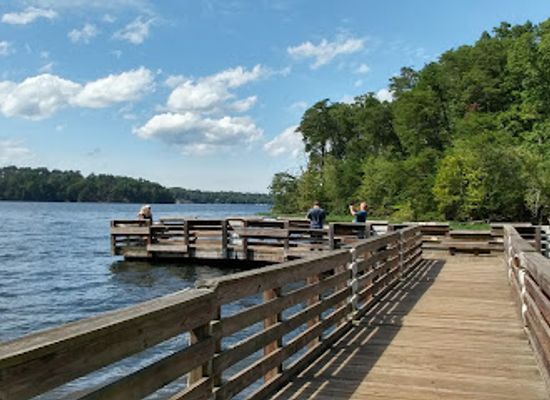 north-carolina/uwharrie-mountains/shop/king-s-mountain-point