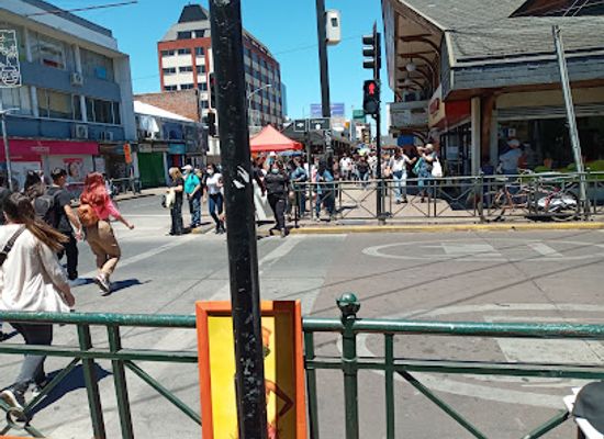 chile/araucania-region/shop/comercial-robinson
