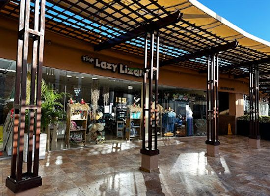 aruba/sero-blanco/shop/the-lazy-lizard