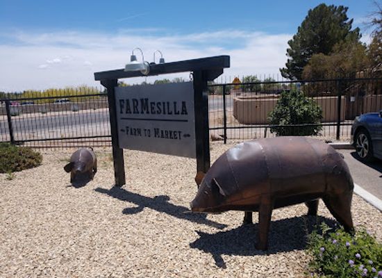 new-mexico/mesilla-valley/shop/farmesilla