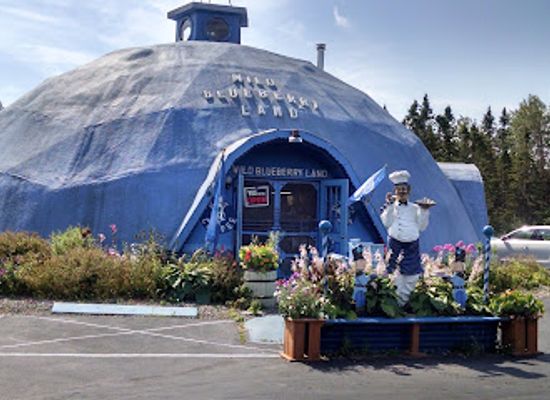 maine/washington-county/shop/wild-blueberry-land