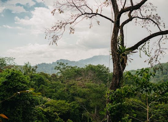 costa-rica/north-zone/shop/villa-vanilla-spice-tour-and-shop