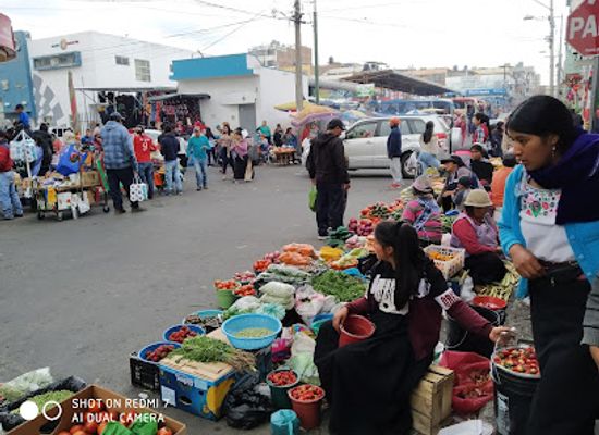 ecuador/chimborazo-region/shop/mercado-y-terminal-oriental