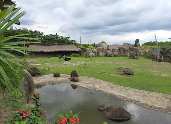 colombia/risaralda-department/shop/ukumari-park
