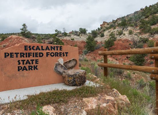 utah/grand-staircase-escalante-national-monument/shop/escalante-petrified-forest-state-park