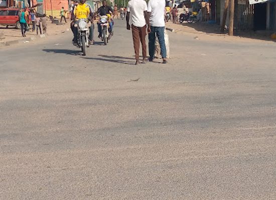 chad/mayo-kebbi-west/shop/carrefour-mayo-oulo