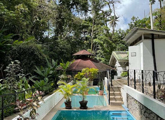 saint-lucia/fond-doux-estate/shop/diamond-falls-botanical-gardens-mineral-baths