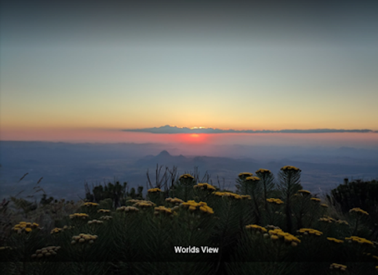 zimbabwe/manicaland/shop/worlds-view