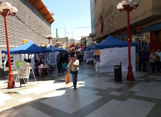 chile/arica-and-parinacota-region/shop/paris-arica