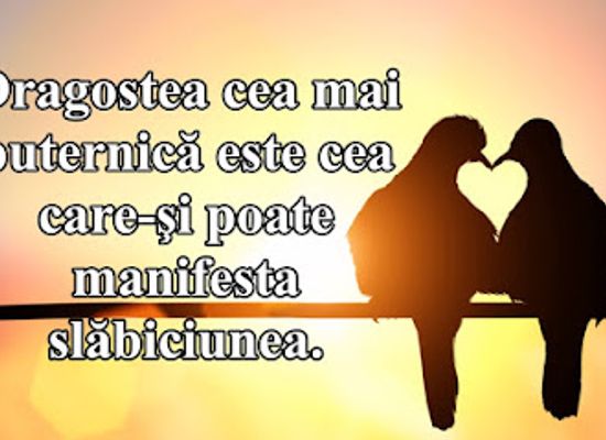 romania/timis/shop/sposa-toscana