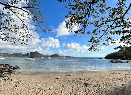 saint-lucia/pigeon-island-national-park/shop/sealife-paradise