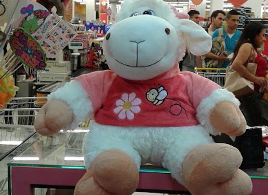 colombia/cucuta/shop/wakala-detalles