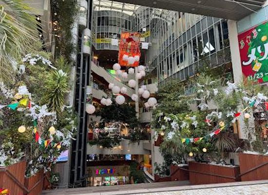 japan/nara/shop/shinsaibashi-big-step