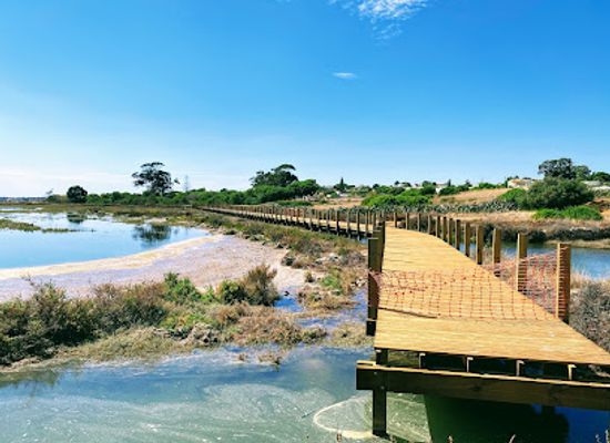 portugal/ria-formosa-natural-park/shop/ria-formosa-ecovia-extension