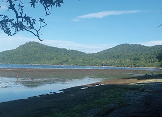 papua-new-guinea/vanimo/shop/3sm-global-solutions