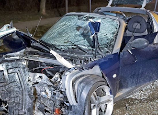 french-polynesia/gambier-islands/shop/auto-repair-shop-smart-roadster