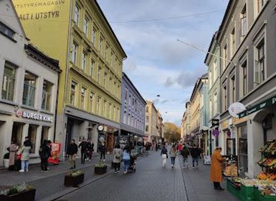 norway/oslo/shop/torggata
