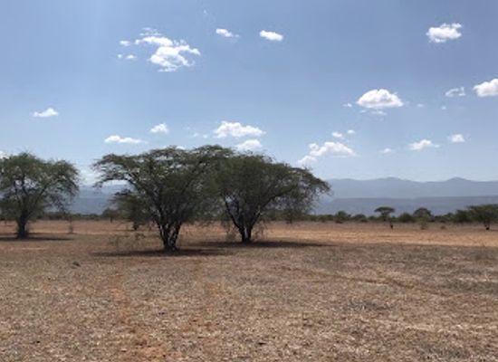 kenya/lake-magadi/shop/lengobei-shopping-centre