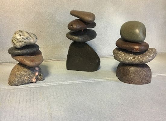 minnesota/itasca-state-park/shop/naturally-unique