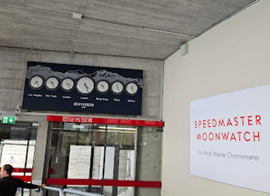 switzerland/lucerne/pilatus/shop/swiss-lion-ag