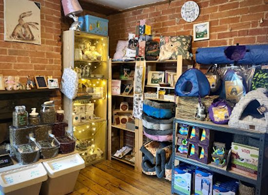 united-kingdom/buckinghamshire/shop/rabbit-retail