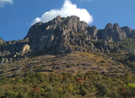 ukraine/crimea/shop/krym-torgovyy-tsentr