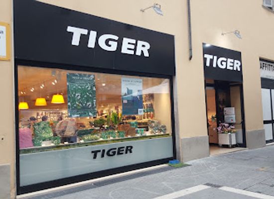 italy/arezzo/shop/flying-tiger-copenhagen