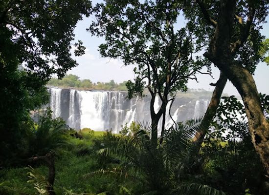zambia/victoria-falls/shop/victoria-falls-crocodile-park