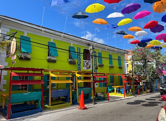 the-bahamas/new-providence/shop/da-island-life