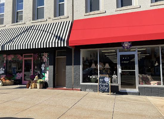 illinois/river-bend/shop/purple-daisy-gifts