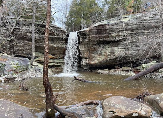 illinois/shawnee-national-forest/shop/jackson-falls