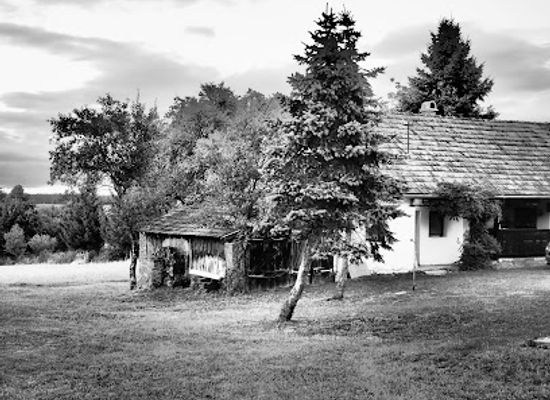 hungary/orseg-vendvidek/shop/vendegmarasztalo-porta